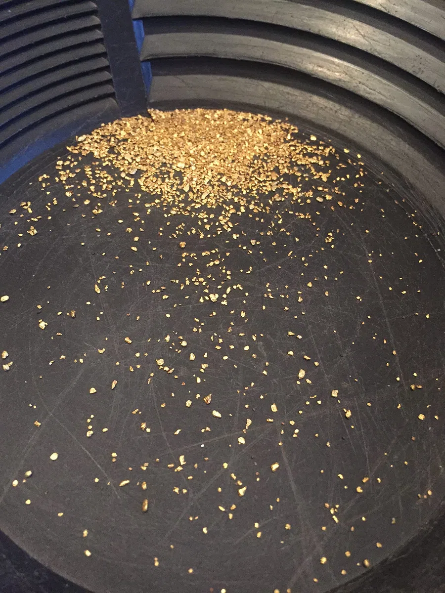 Scottish Gold Paydirt - Edición limitada
